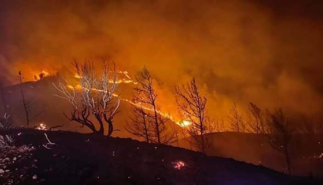 Βλάβες στο περιβάλλον μετά από μεγάλες περιαστικές πυρκαγιές και τρόποι και δράσεις αποκατάστασης του.